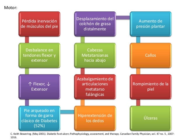 pie diabetico fisiopatologia